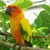Profile picture small