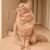 Profile picture small