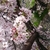 Profile picture small