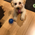 Profile picture small