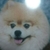 ショコラ