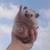 Profile picture small
