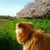 Profile picture small