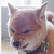 yuka