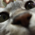 Profile picture small