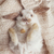 Profile picture small
