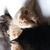 Profile picture small