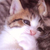 Profile picture small