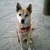 Profile picture small