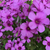 Profile picture small