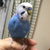 Profile picture small