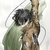 うまる