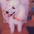 Profile picture small