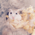 Profile picture small