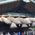 栗ぼう