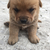 Profile picture small