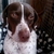 Profile picture small
