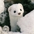 Profile picture small