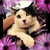 Profile picture small