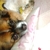 Profile picture small
