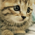 Profile picture small