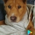 Profile picture small