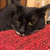 Profile picture small