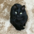 Profile picture small
