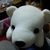 Profile picture small