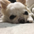 Profile picture small