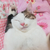 Profile picture small