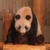 Profile picture small