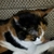 Profile picture small