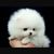 Profile picture small