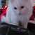 Profile picture small