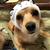Profile picture small