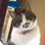 Profile picture small