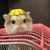 Profile picture small