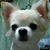 Profile picture small