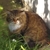 Profile picture small