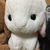 Profile picture small