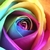 Profile picture small