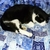 Profile picture small
