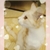 Profile picture small