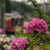 Profile picture small