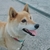 Profile picture small