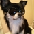 Profile picture small