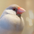 Profile picture small