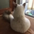 なっつ