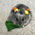 Profile picture small
